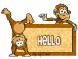 monkey hello